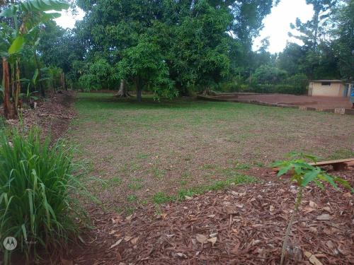 Apkārtne, Andy's home stay in Masindi