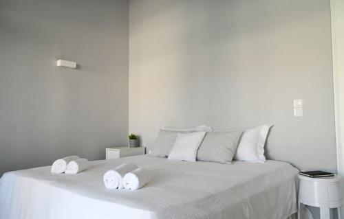 Sunrise Getaway w Sea Views, Andros (foto 7)