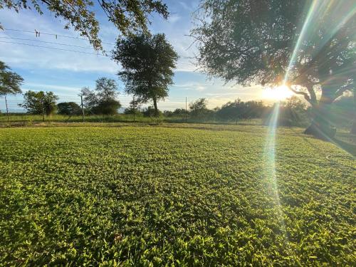 Harmonie Hills in คียานี