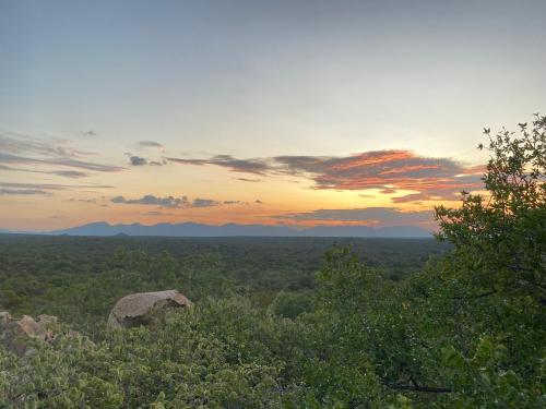 Harmonie Hills in คียานี