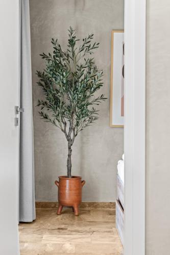 Nikos Apartments - image 2