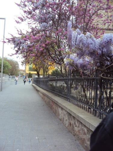 Apartment Alyosha, 