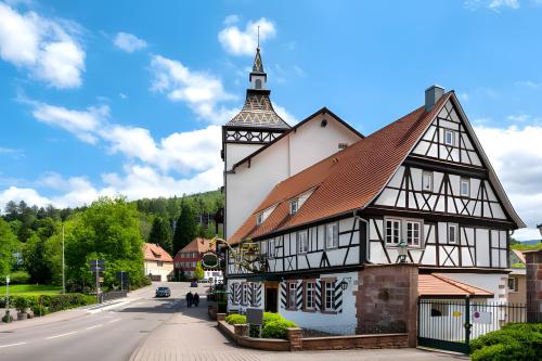 ทัศนียภาพภายนอกโรงแรม, Amstadt's Birkenfels in บาด เฮร์เรนาลบ์