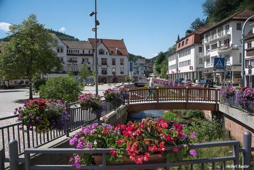 ทัศนียภาพภายนอกโรงแรม, Amstadt's Birkenfels in บาด เฮร์เรนาลบ์