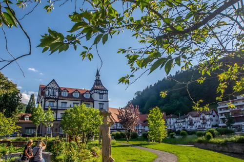 ทัศนียภาพภายนอกโรงแรม, Amstadt's Birkenfels in บาด เฮร์เรนาลบ์