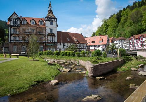 ทัศนียภาพภายนอกโรงแรม, Amstadt's Birkenfels in บาด เฮร์เรนาลบ์