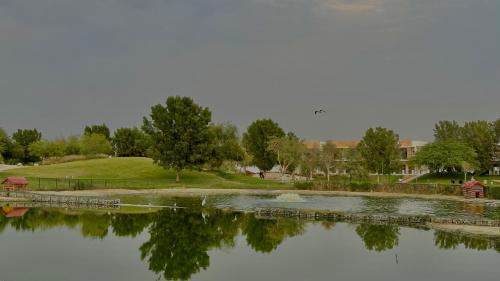 Serene Green Escape and Stunning Views in DAMAC Hills 1 by Bhavan Vacation Homes, Dubái (foto 6)