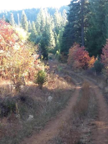 Charming Cabin for Sierra Nevada Getaways Charming Cabin for Sierra Nevada Getaways