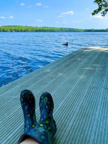 Island Glamping in a Secluded A-Frame Cabin on a Lake in Monmouth, Maine Island Glamping in a Secluded A-Frame Cabin on a Lake in Monmouth, Maine