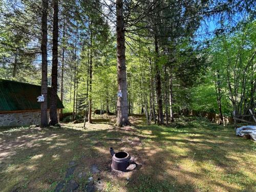 Vila Bradul Tarcău (Vila Bradul Tarcau) in Schitu Tarcău