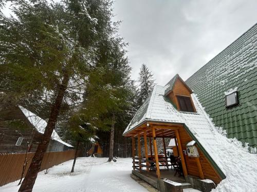 Vila Bradul Tarcău (Vila Bradul Tarcau) in Schitu Tarcău