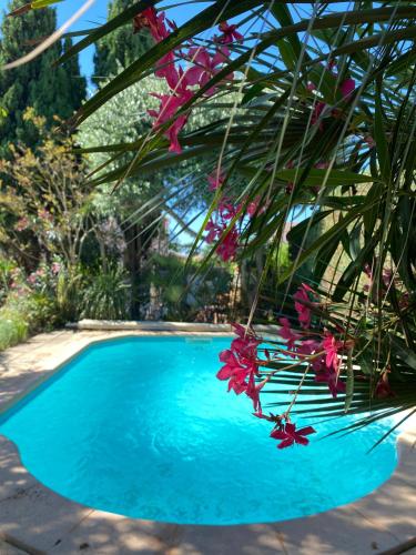 85m2 villa with garden and private pool - Location, gîte - Vias