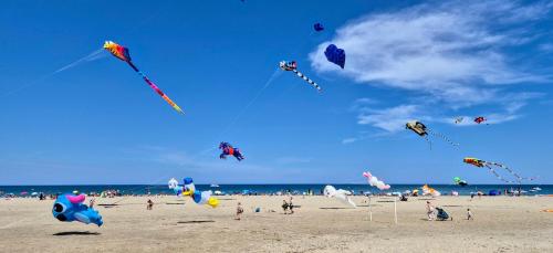 Le Maritime - image 5