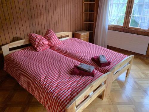  Revier Hazzo´s Biasca in Hätzingen