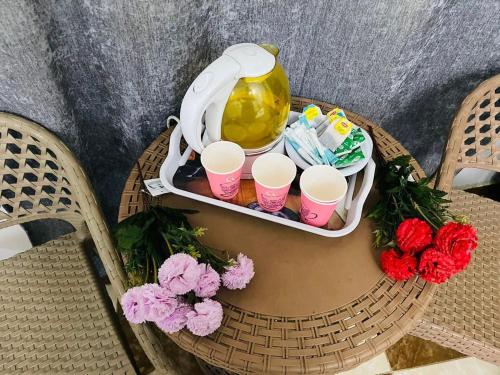 Giza pyramids Star Inn