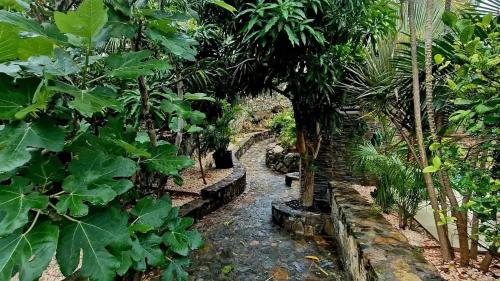 Cozy House with Terrace in Upper Prince's Quarter in オイスター ポンド