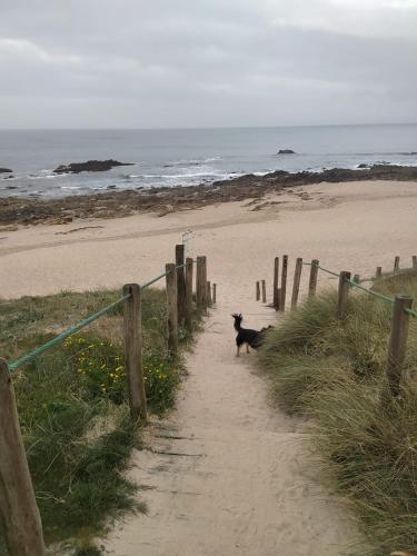 Quartos para Férias - Apúlia (Quartos para Ferias - Apulia) in เอซโปเซนเด