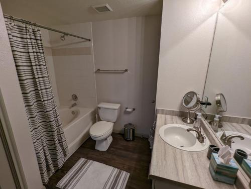 Bathroom, The Mid-Century Modern in Clear Lake