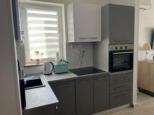 Two-Bedroom Apartment image 4