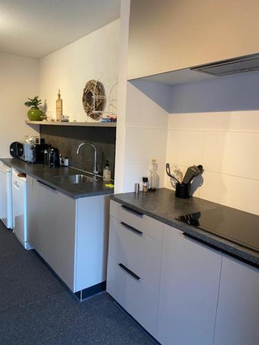 Housing De Brouwerij in แตนูเซ็น