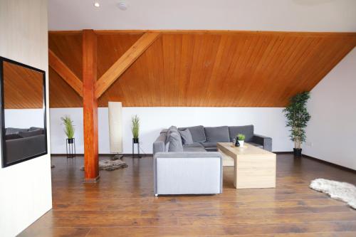 共用Lounge/電視區, Apartamenty Panorama Trzech Gór z SAUNĄ i JACUZZI (Apartamenty Panorama Trzech Gor z SAUNA i JACUZZI) in 施扎夫諾茲德魯伊