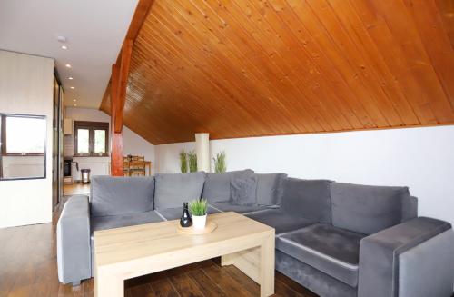 Apartamenty Panorama Trzech Gór z SAUNĄ i JACUZZI (Apartamenty Panorama Trzech Gor z SAUNA i JACUZZI) in 施扎夫諾茲德魯伊