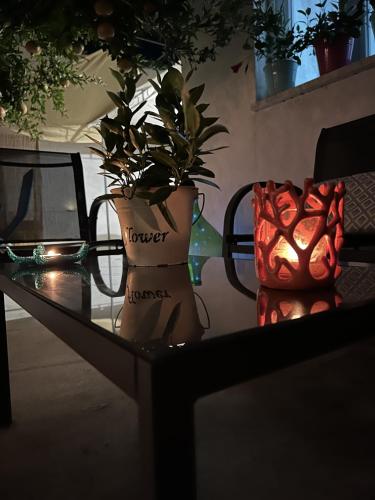 Dārzs, HOUSE "Il GIARDINO DI MALU'" A DUE PASSI DAL MARE DEL SALENTO in Santa Maria Al Bagno