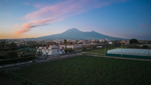 Villa Aurelia Pompei 4