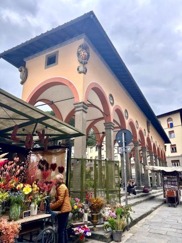 Affittacamere Medusa, Florence