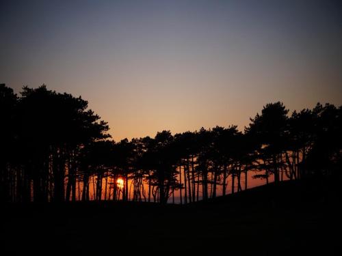 The Golf Hotel - image 6