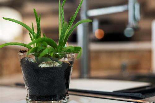 Relaxing 4-Bedroom Home & Private Pool