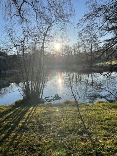 สภาพแวดล้อมโดยรอบ, Ferienwohnung Jule in คาสเทลเลาน์