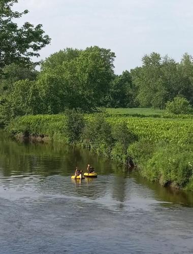 Comfy creekside chalet HiSpeedNet w Workspace