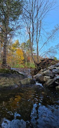 Comfy creekside chalet HiSpeedNet w Workspace