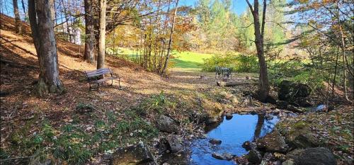 Comfy creekside chalet HiSpeedNet w Workspace