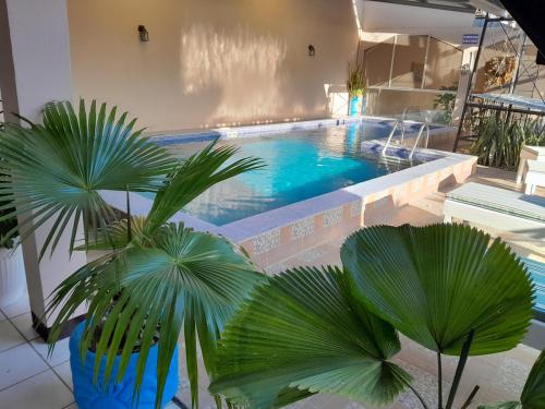 Skats, Hotel Dalinky  in San Jorge