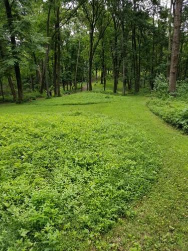 The Hen House Retreat in 莱恩斯伯勒(MN)