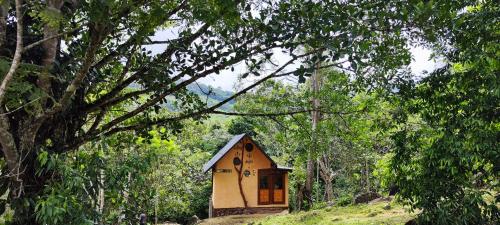 Q'ala Cabaña Bio en Bosque San Carlos Antioquia