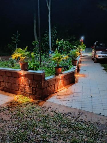 Forest Brew Resort Kuruva in Pulpally