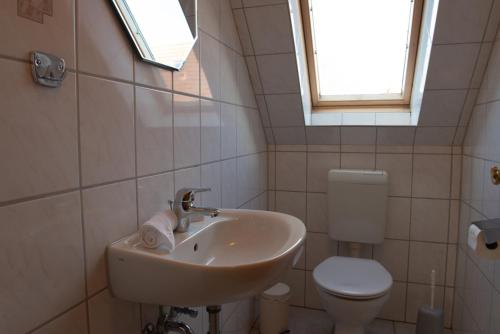Rotbuche 2 in Norddeich, Deutschland