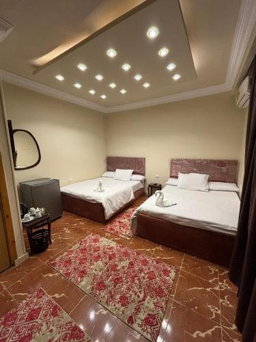 Scarab pyramids view