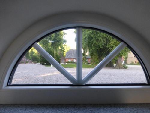 Sechs Schwäne (Sechs Schwane) in Gremersdorf