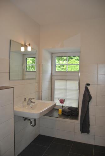 Sechs Schwäne (Sechs Schwane) in Gremersdorf