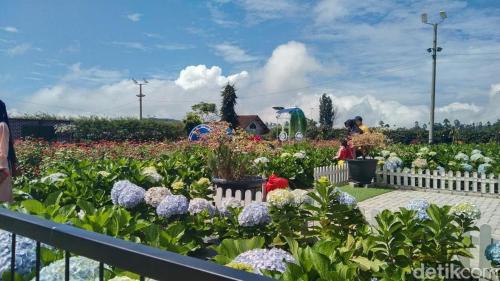 Наличие на забележителност наблизо, Pondok Ciremai Homestay in Argapura