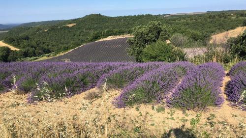 A környék, Place du village Haute Provence, 3 nuits au moins in Puimichel
