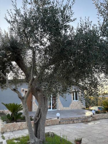 Villa Antezza, Matera (foto 2)