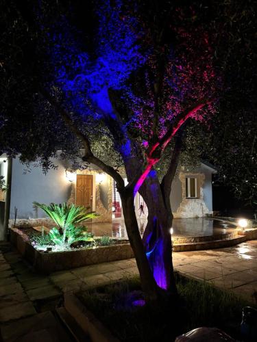 Villa Antezza, Matera (foto 10)
