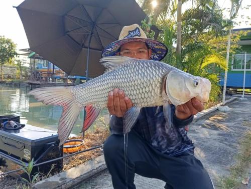 บ่อตกปลาเพียงรักและที่พัก บ่อตกปลาเพียงรักและที่พัก