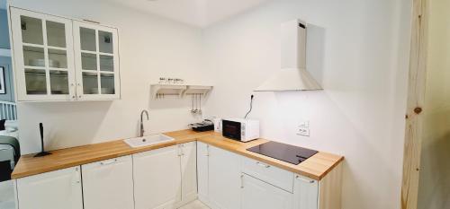 Cankar's cute apartment, Lublaň (fotografie 8)