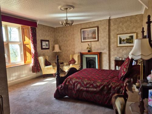 St David's Guesthouse - image 9